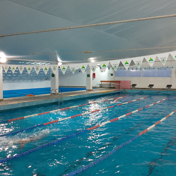 natacion04